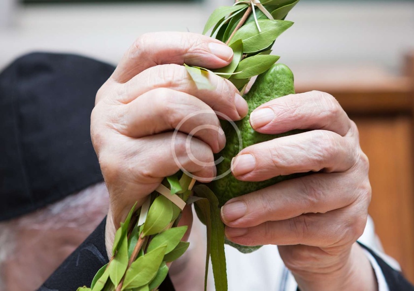 Rebuilding Together: Current Alumni Projects Transforming the College of Nursing Sciences, EKSUTH